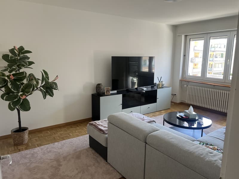 4 Pièces Appartement (2)