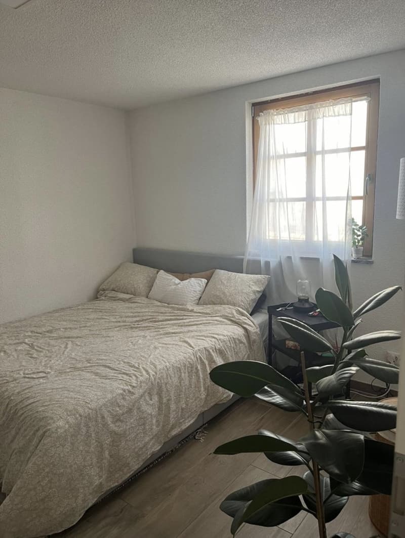 Recherche locataire Appartement 3 pièces lumineux à Bad Zurzach (5)