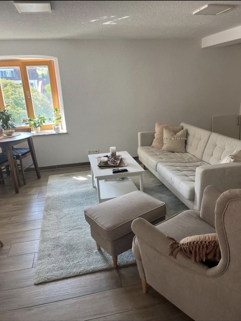 Recherche locataire Appartement 3 pièces lumineux à Bad Zurzach (1)