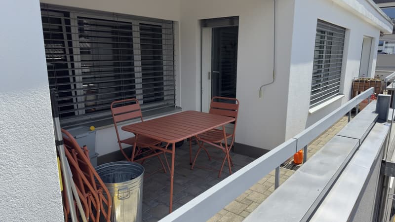 Furnished 2 rooms Apartment with Large Terrace  10-Minute Walk to Zurich Main Station  Zurich (Kreis 4)  September 2026 (5)