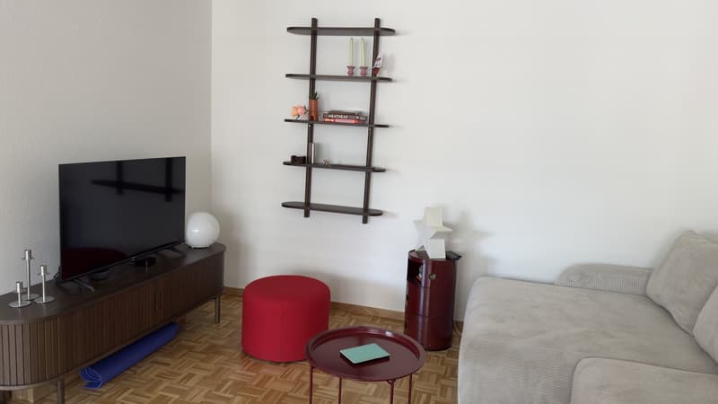 Furnished 2 rooms Apartment with Large Terrace  10-Minute Walk to Zurich Main Station  Zurich (Kreis 4)  September 2026 (2)