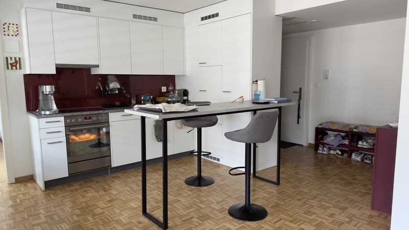 Furnished 2 rooms Apartment with Large Terrace  10-Minute Walk to Zurich Main Station  Zurich (Kreis 4)  September 2026 (6)