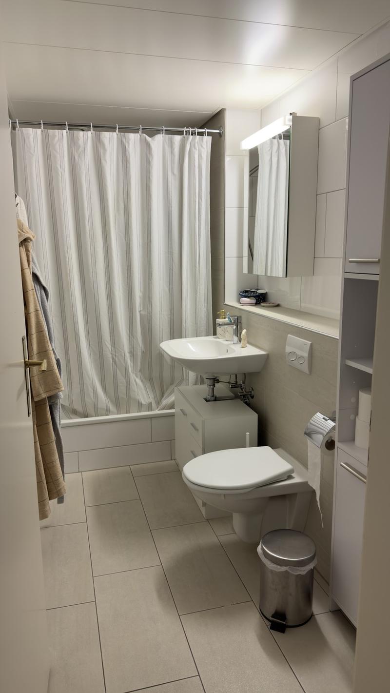 Furnished 2 rooms Apartment with Large Terrace  10-Minute Walk to Zurich Main Station  Zurich (Kreis 4)  September 2026 (9)