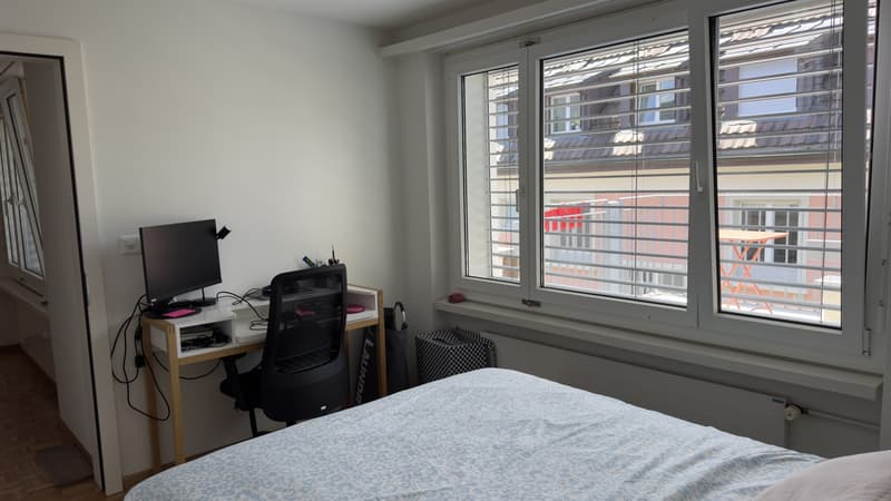 Furnished 2 rooms Apartment with Large Terrace  10-Minute Walk to Zurich Main Station  Zurich (Kreis 4)  September 2026 (4)