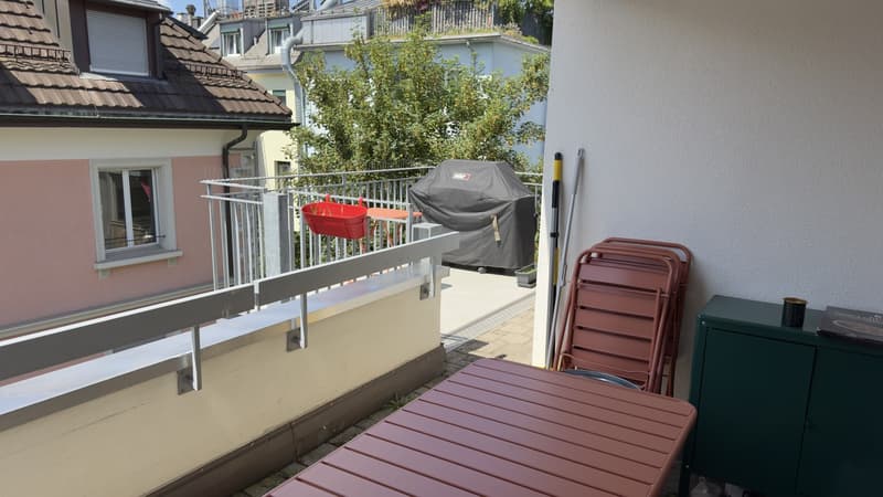 Furnished 2 rooms Apartment with Large Terrace  10-Minute Walk to Zurich Main Station  Zurich (Kreis 4)  September 2026 (12)