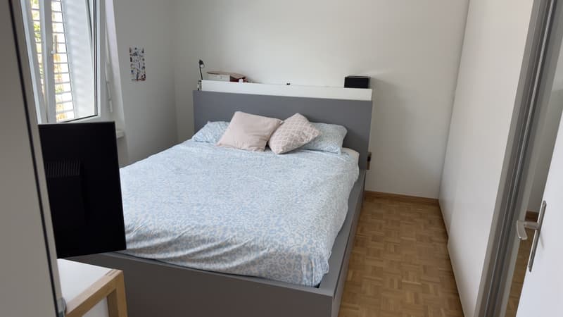Furnished 2 rooms Apartment with Large Terrace  10-Minute Walk to Zurich Main Station  Zurich (Kreis 4)  September 2026 (3)