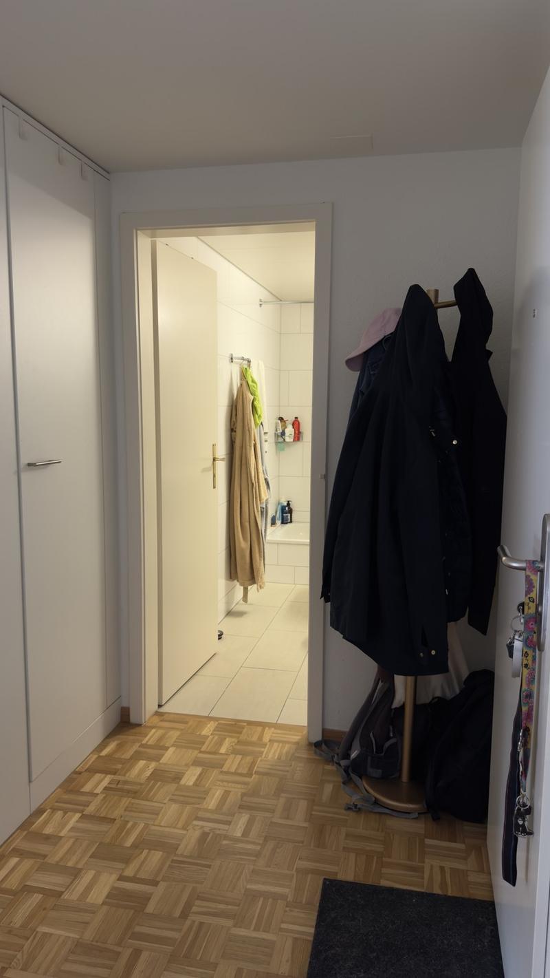 Furnished 2 rooms Apartment with Large Terrace  10-Minute Walk to Zurich Main Station  Zurich (Kreis 4)  September 2026 (8)