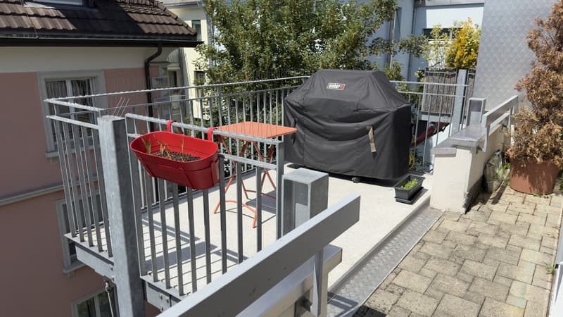 Furnished 2 rooms Apartment with Large Terrace  10-Minute Walk to Zurich Main Station  Zurich (Kreis 4)  September 2026 (10)