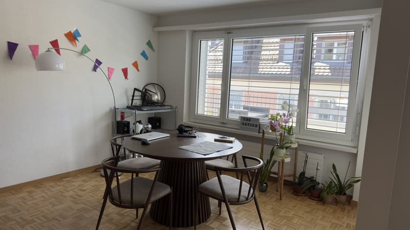 Furnished 2 rooms Apartment with Large Terrace  10-Minute Walk to Zurich Main Station  Zurich (Kreis 4)  September 2026 (7)