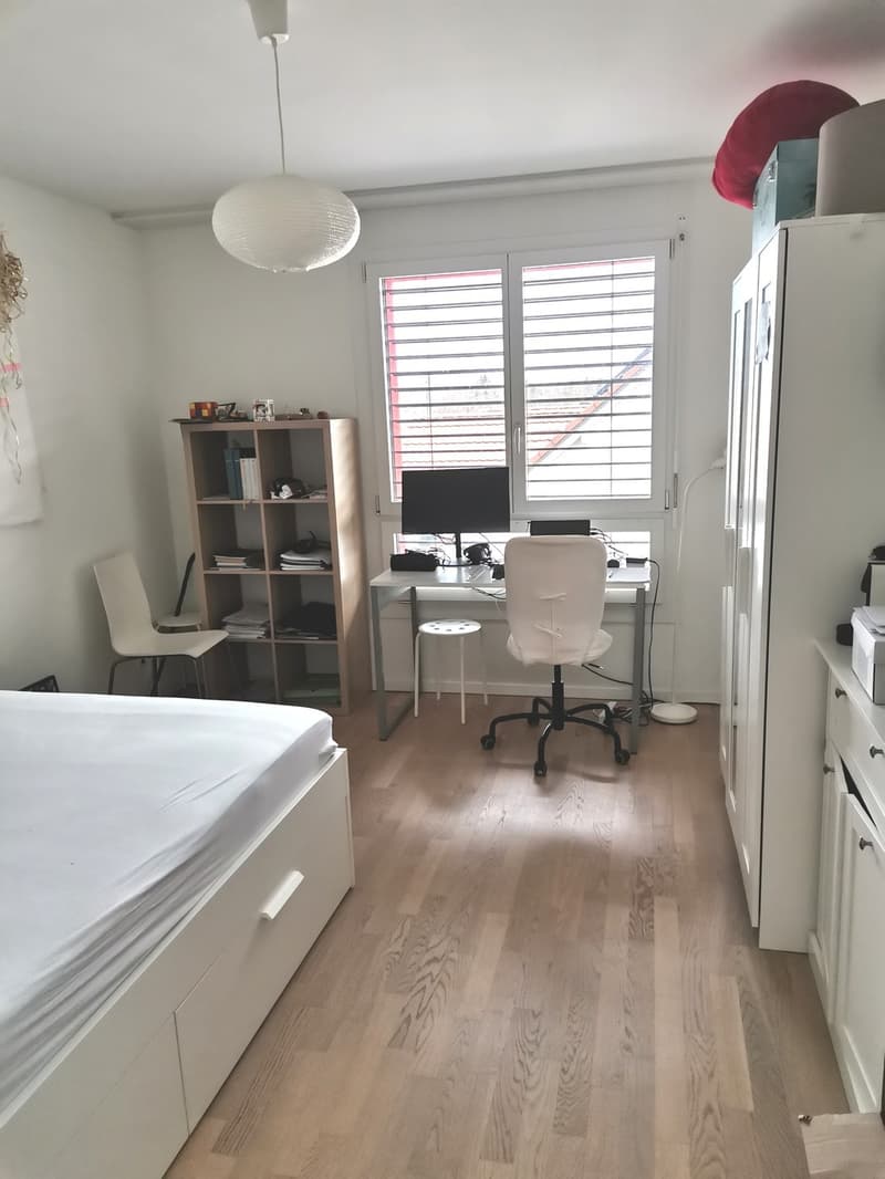 Appartement spacieux et magnifique avec deux grands balcons dans un quartier calme, appartement 3.5 pièces à Dietikon (4)