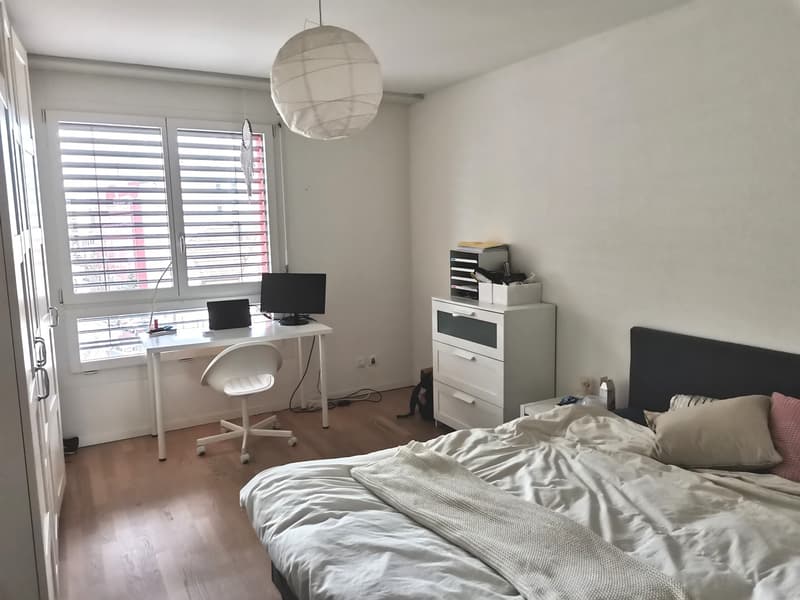 Appartement spacieux et magnifique avec deux grands balcons dans un quartier calme, appartement 3.5 pièces à Dietikon (3)
