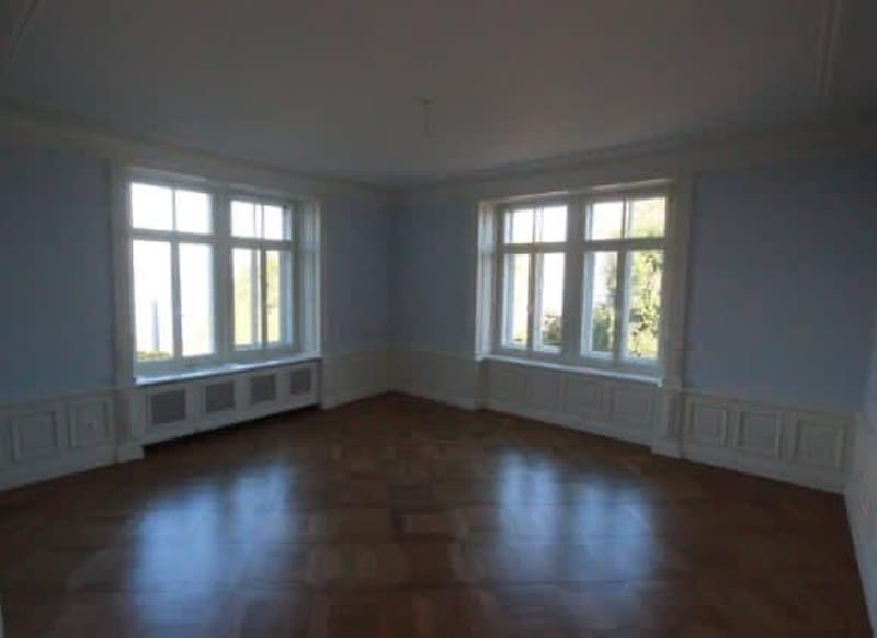 Charmante 2.5 Zimmer- Altbauwohnung mit traumhaftem Rundumblick auf den Zürichsee (2)