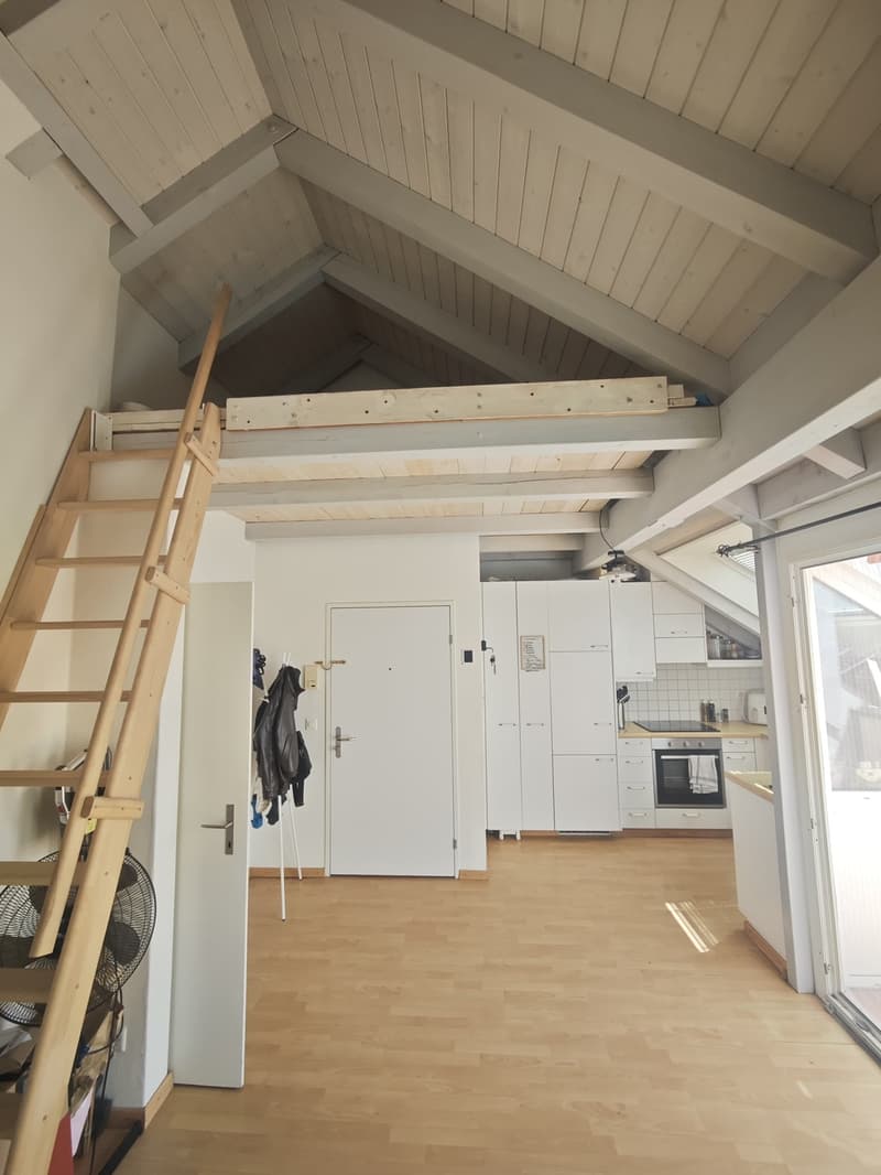 Temporary 3.5-Room Apartment in Dübendorf (2)