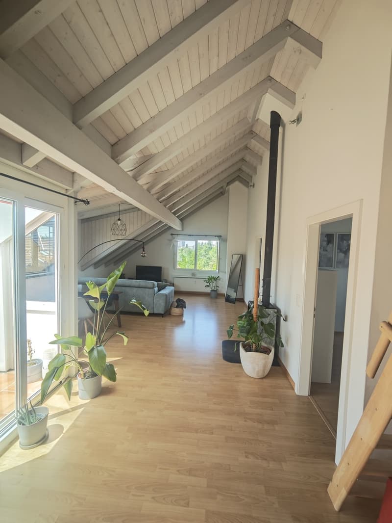 Temporary 3.5-Room Apartment in Dübendorf (1)