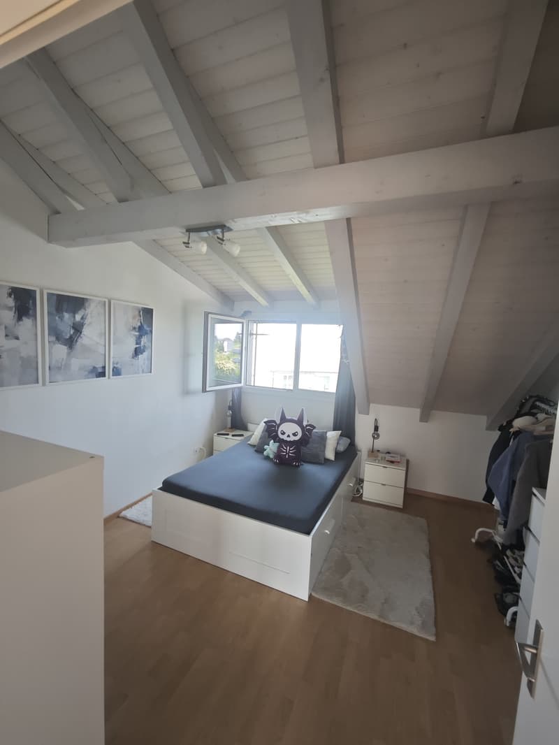 Temporary 3.5-Room Apartment in Dübendorf (5)