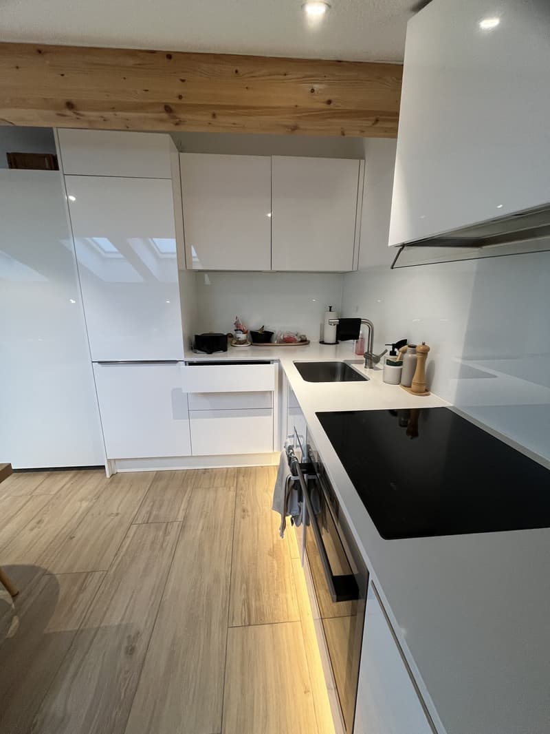 Moderne 2.5 Zimmer Loft Wohnung (8)
