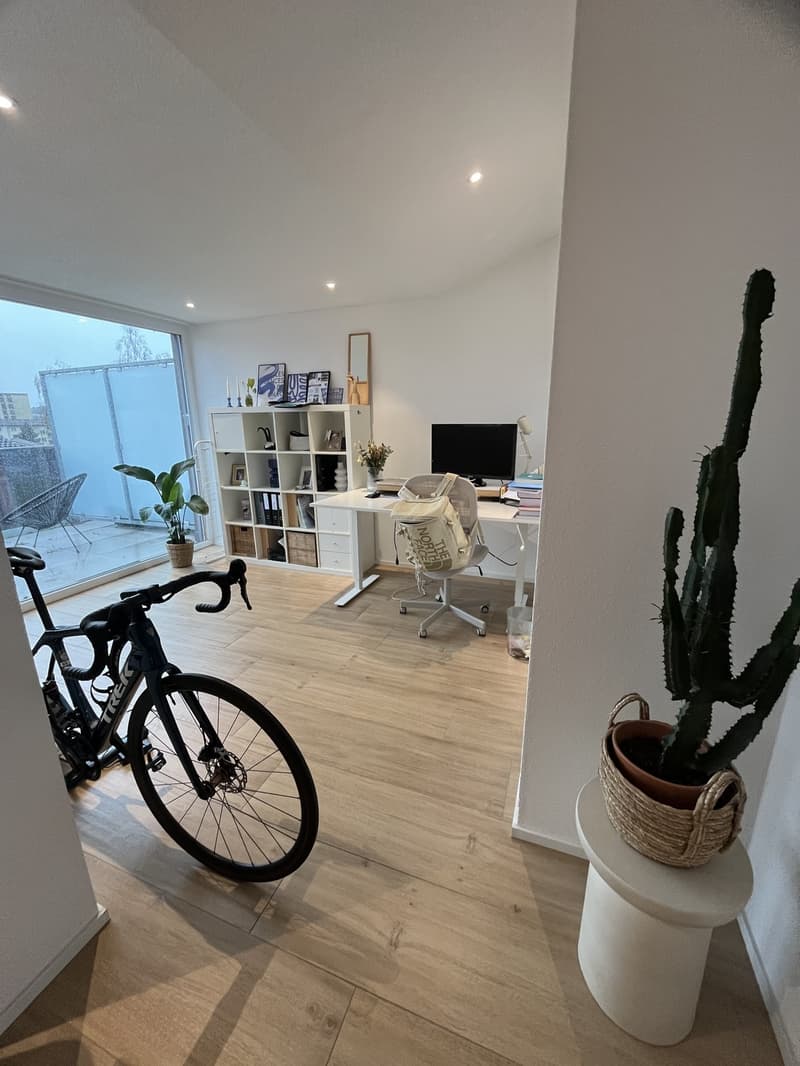 Moderne 2.5 Zimmer Loft Wohnung (4)