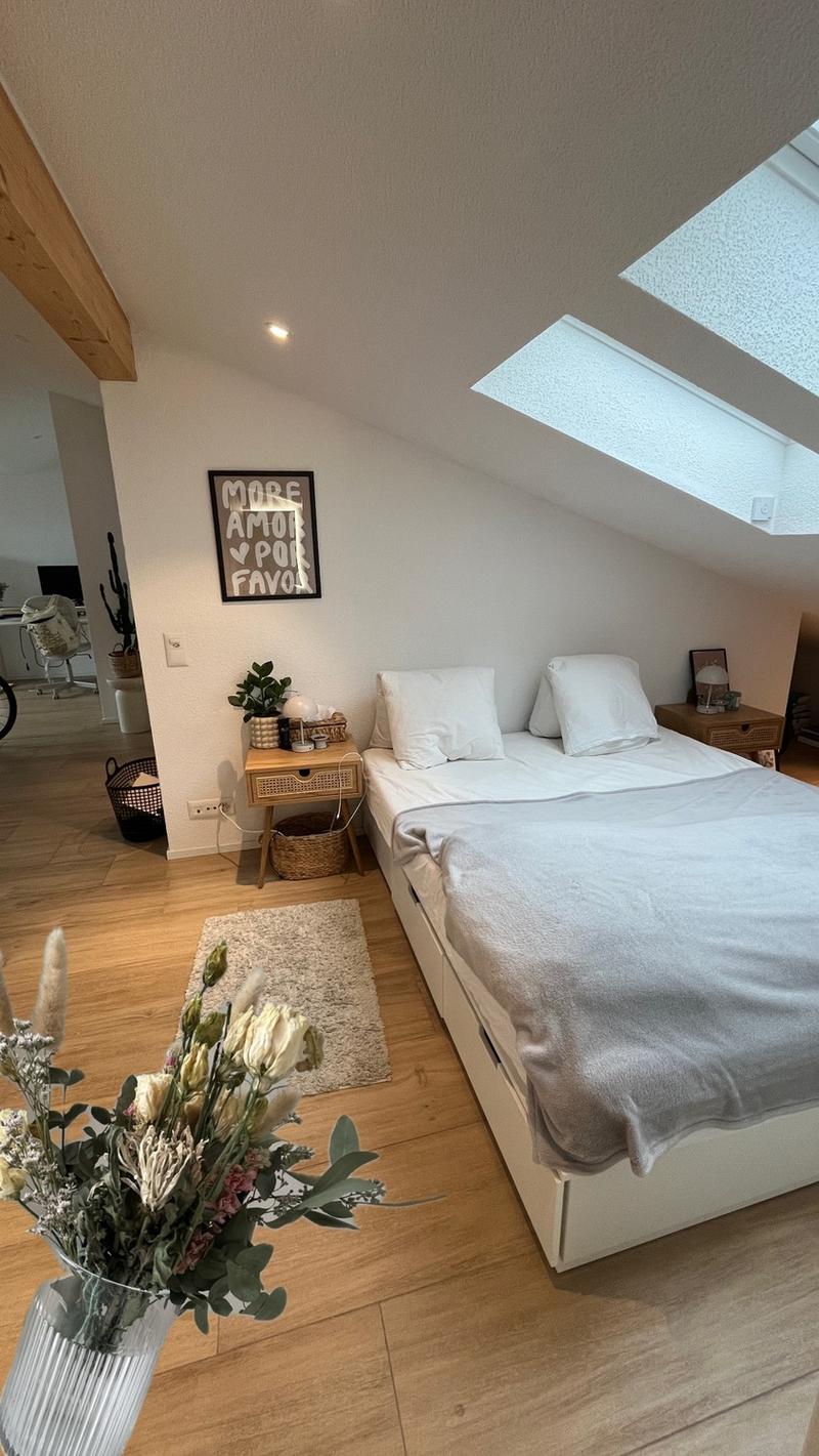 Moderne 2.5 Zimmer Loft Wohnung (2)
