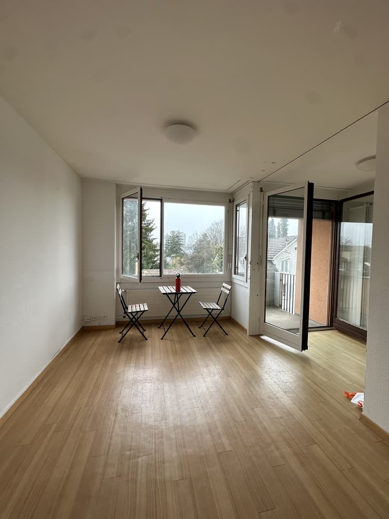 Cozy andBright Studio Apartment withBalcony (1)