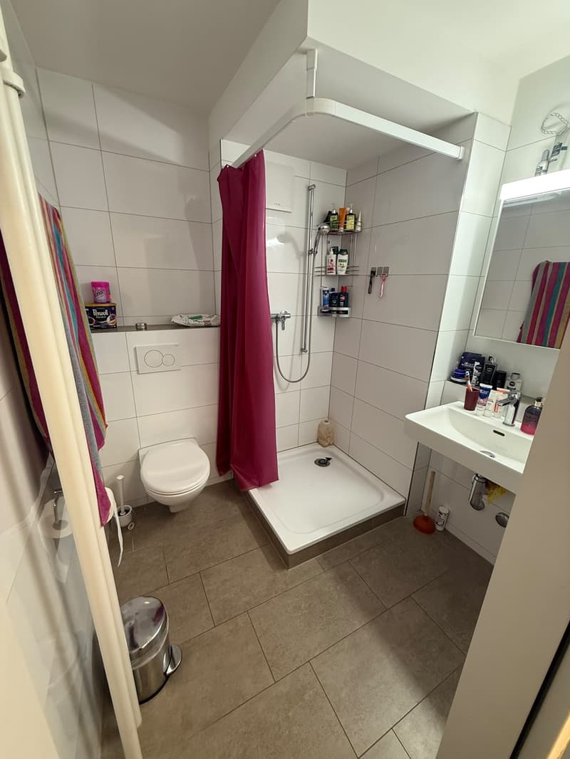 WG Zimmer 25 m2 am Affoltern am Albis ab sofort (6)