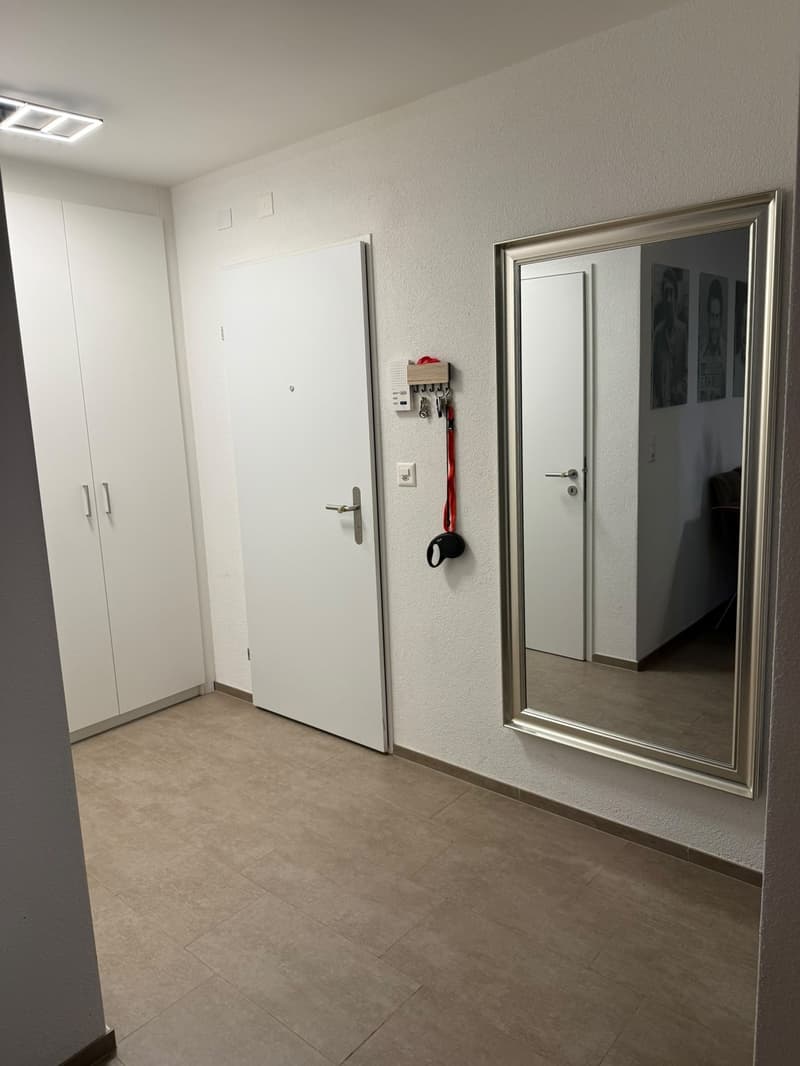 WG Zimmer 25 m2 am Affoltern am Albis ab sofort (3)