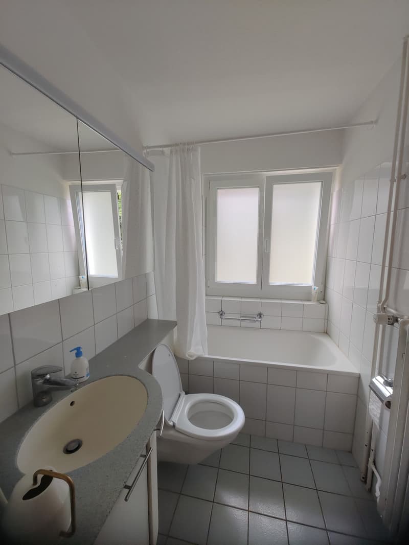 2.5 appartement in Witikon (5)