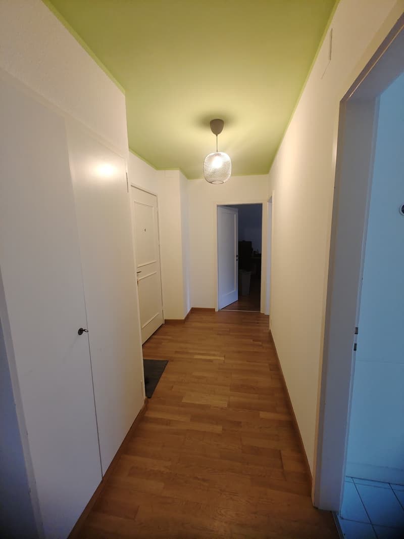 2.5 appartement in Witikon (6)