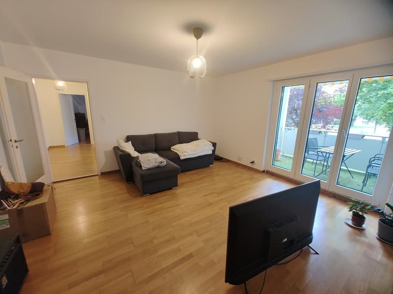 2.5 appartement in Witikon (2)