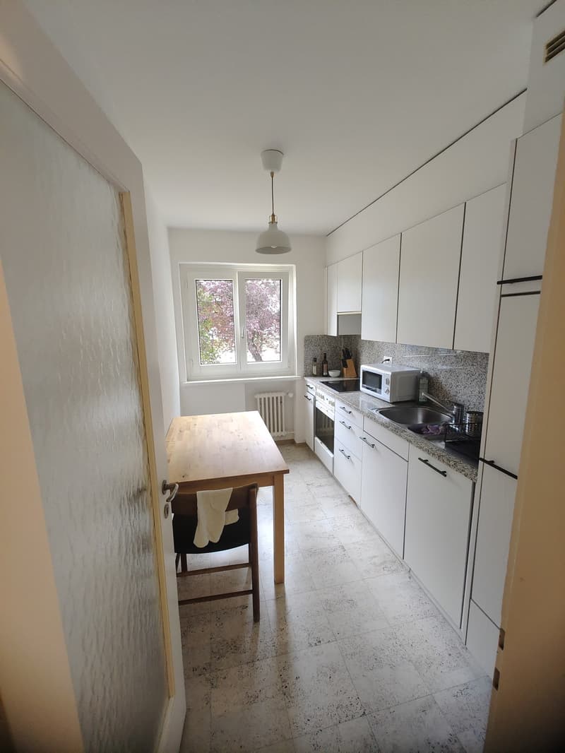 2.5 appartement in Witikon (3)