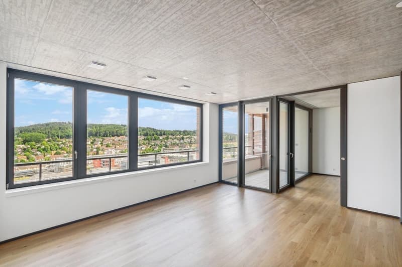 Modern 2.5-room apartment in BIGBOY (3)