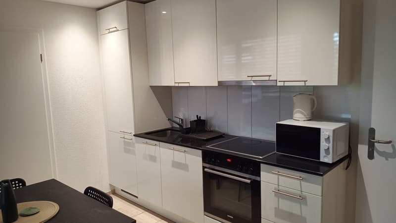 Apartment in modern building near Altstetten (1)