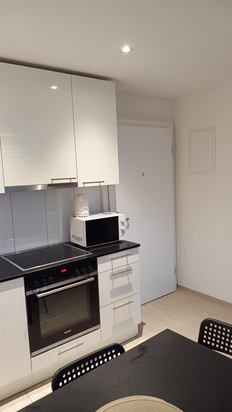 Apartment in modern building near Altstetten (6)