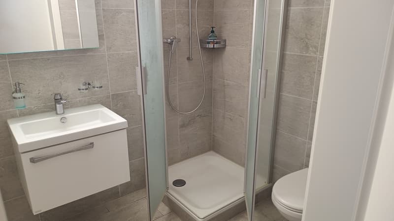 Apartment in modern building near Altstetten (2)