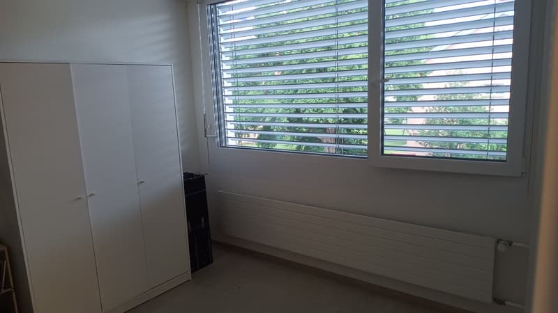 Apartment in modern building near Altstetten (4)