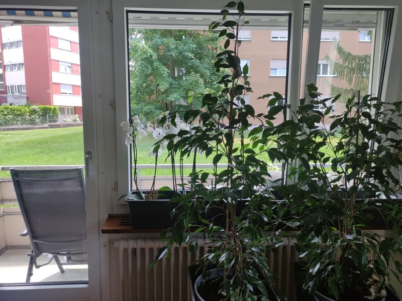 Zentral wohnen in Wettingen (8)