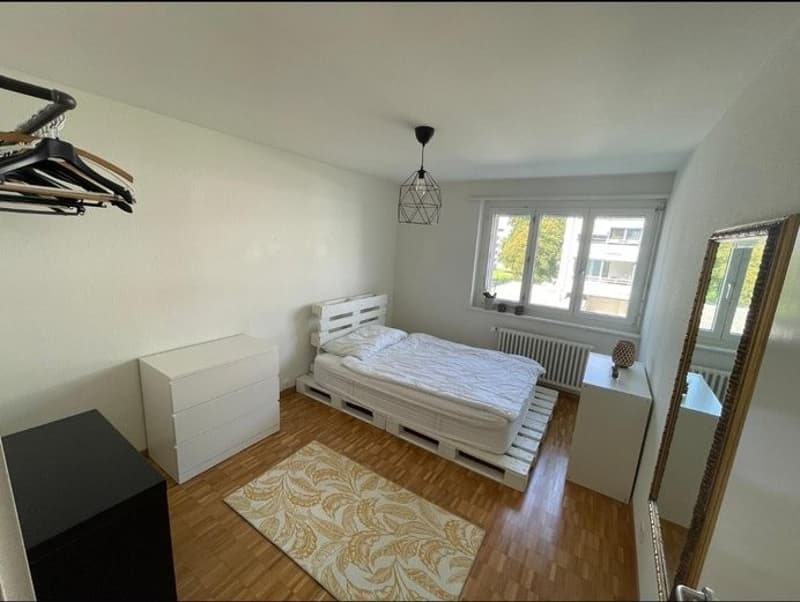 3 rooms + winter garden (4)
