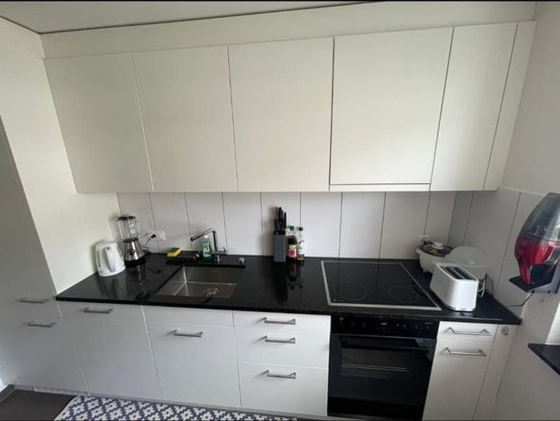 3 rooms + winter garden (2)