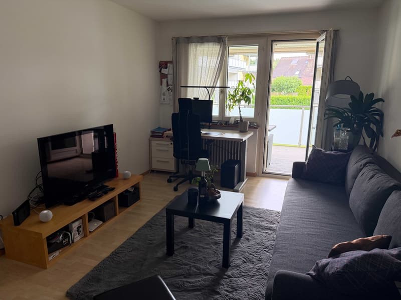 Appartamento 2 locali luminoso con ampio balcone, parcheggio e posizione tranquilla a Uster (1)