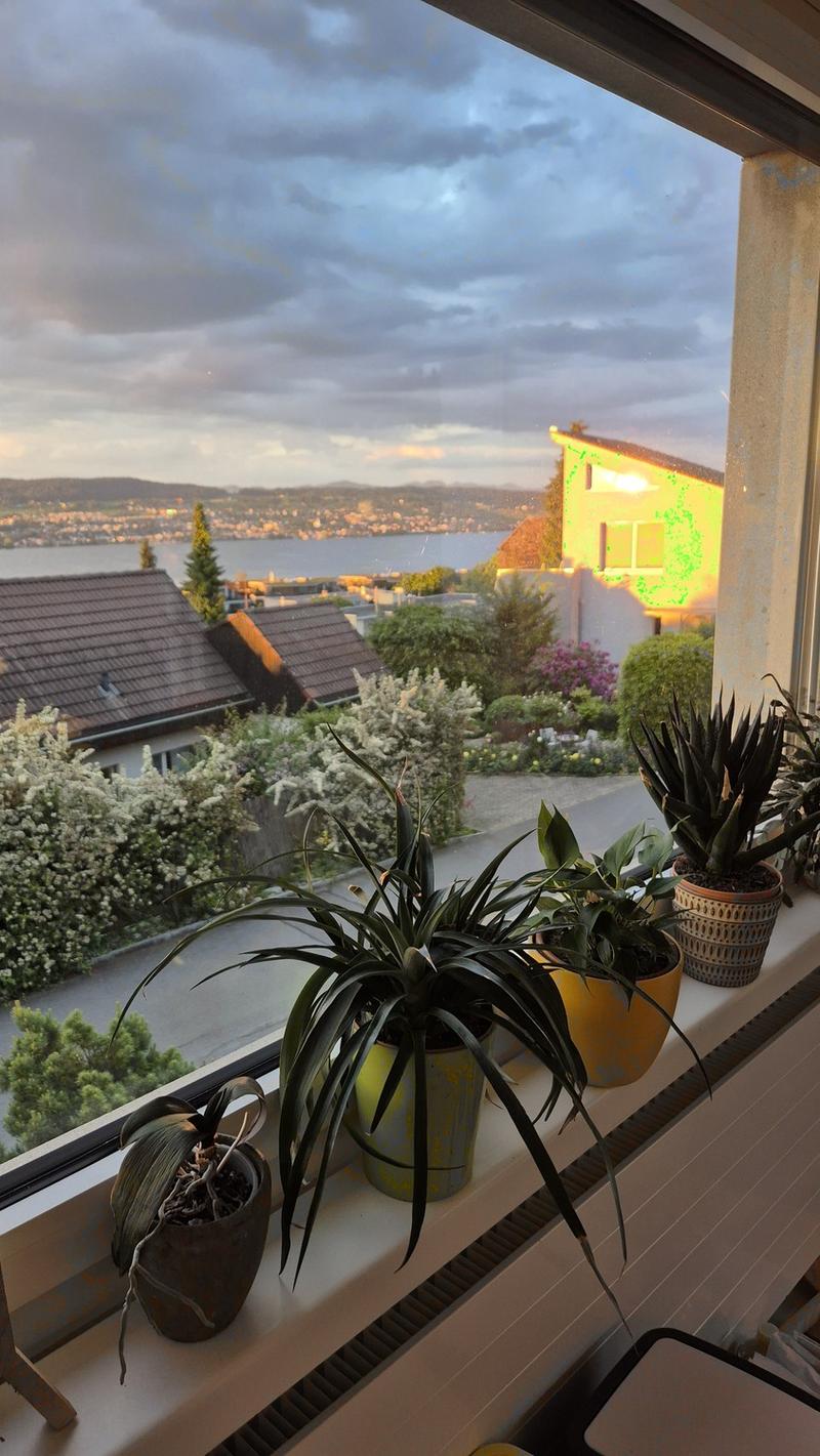 Aussicht