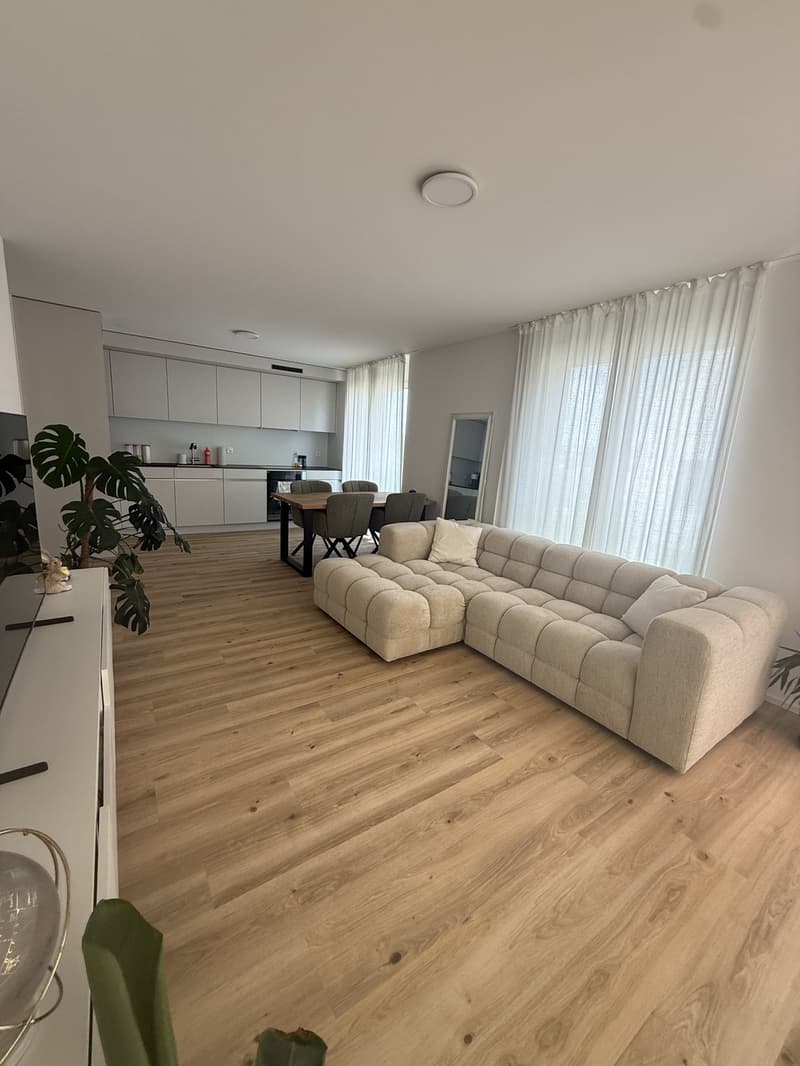 Bright furnished apartment with south-facing orientation (2)