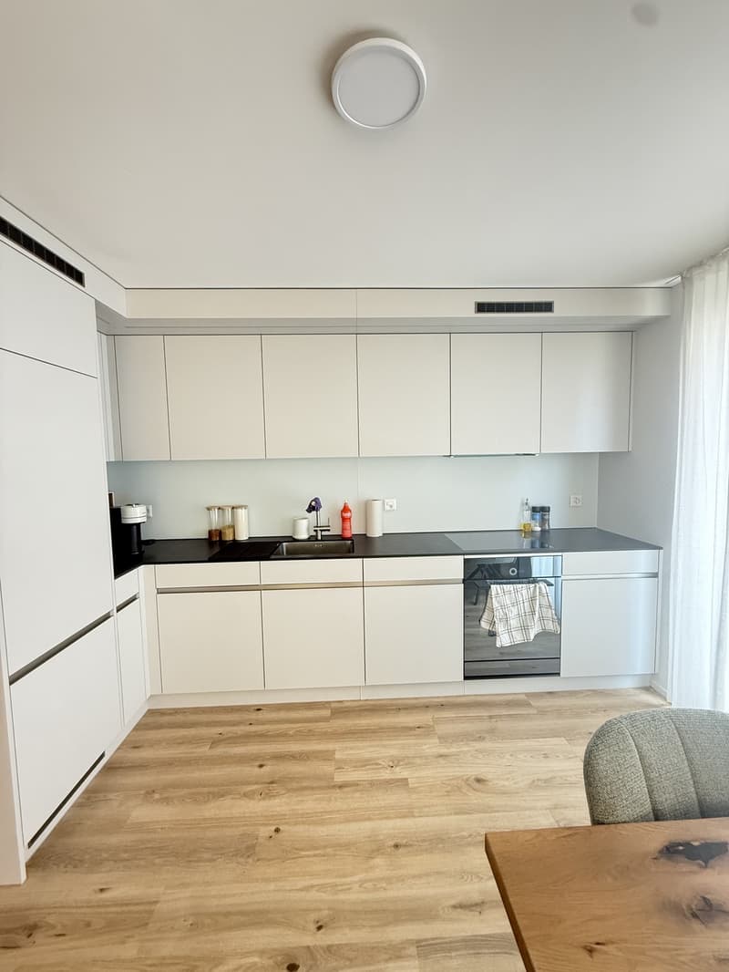Bright furnished apartment with south-facing orientation (5)
