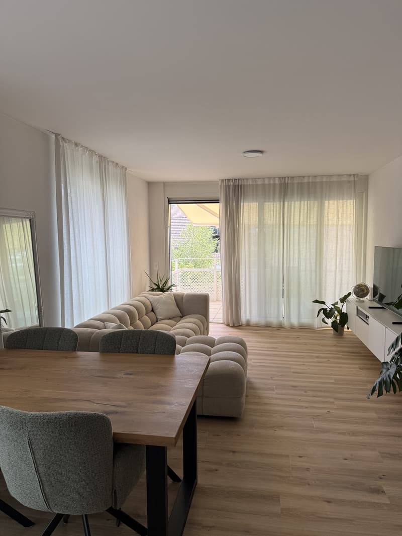 Bright furnished apartment with south-facing orientation (1)