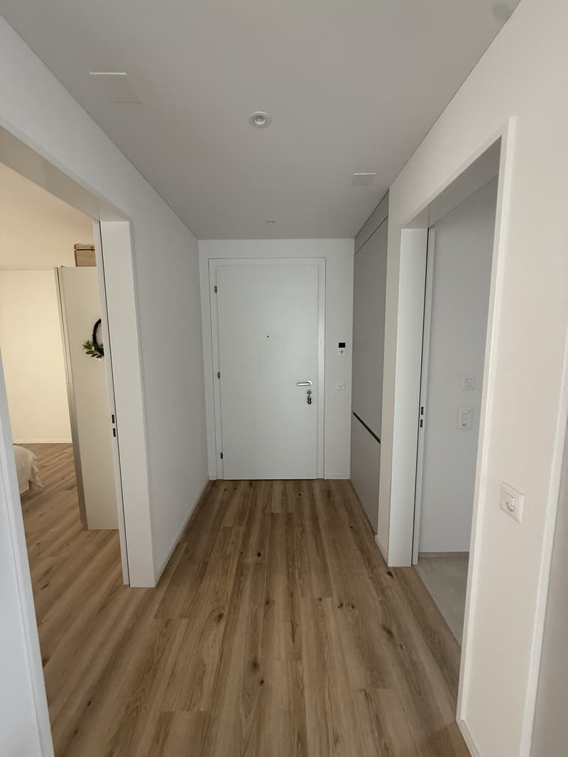 Bright furnished apartment with south-facing orientation (4)