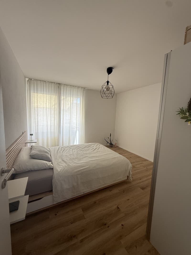 Bright furnished apartment with south-facing orientation (3)