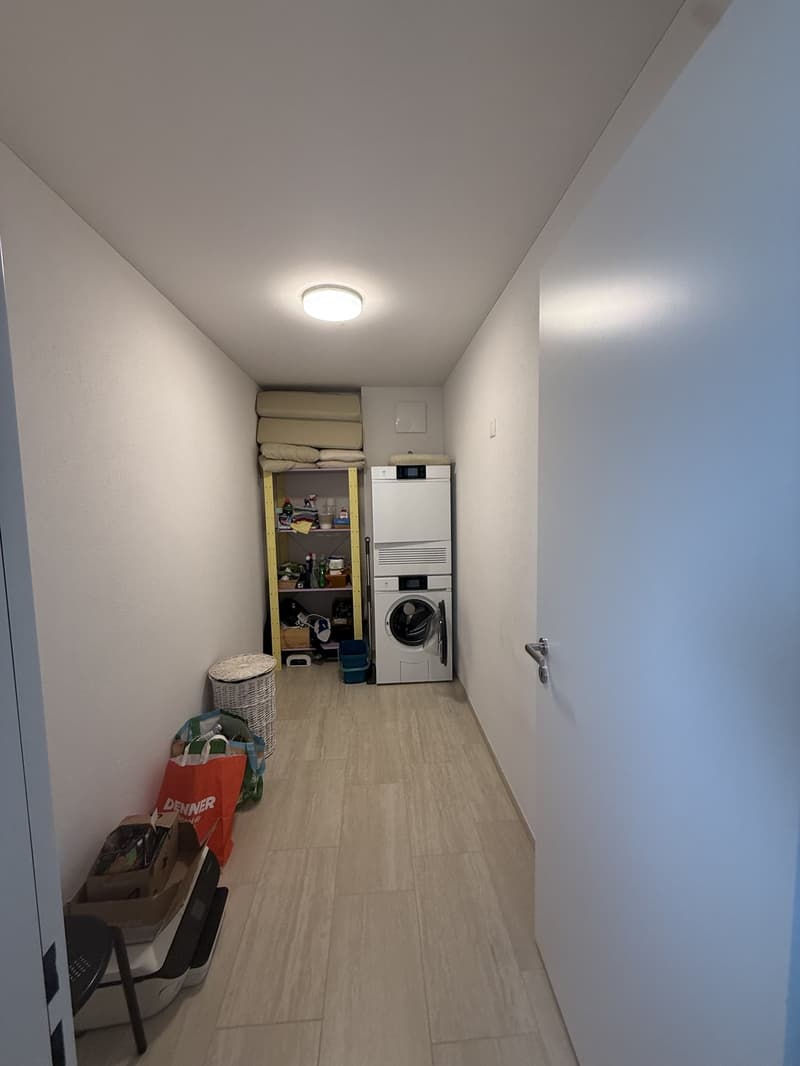 Bright furnished apartment with south-facing orientation (6)