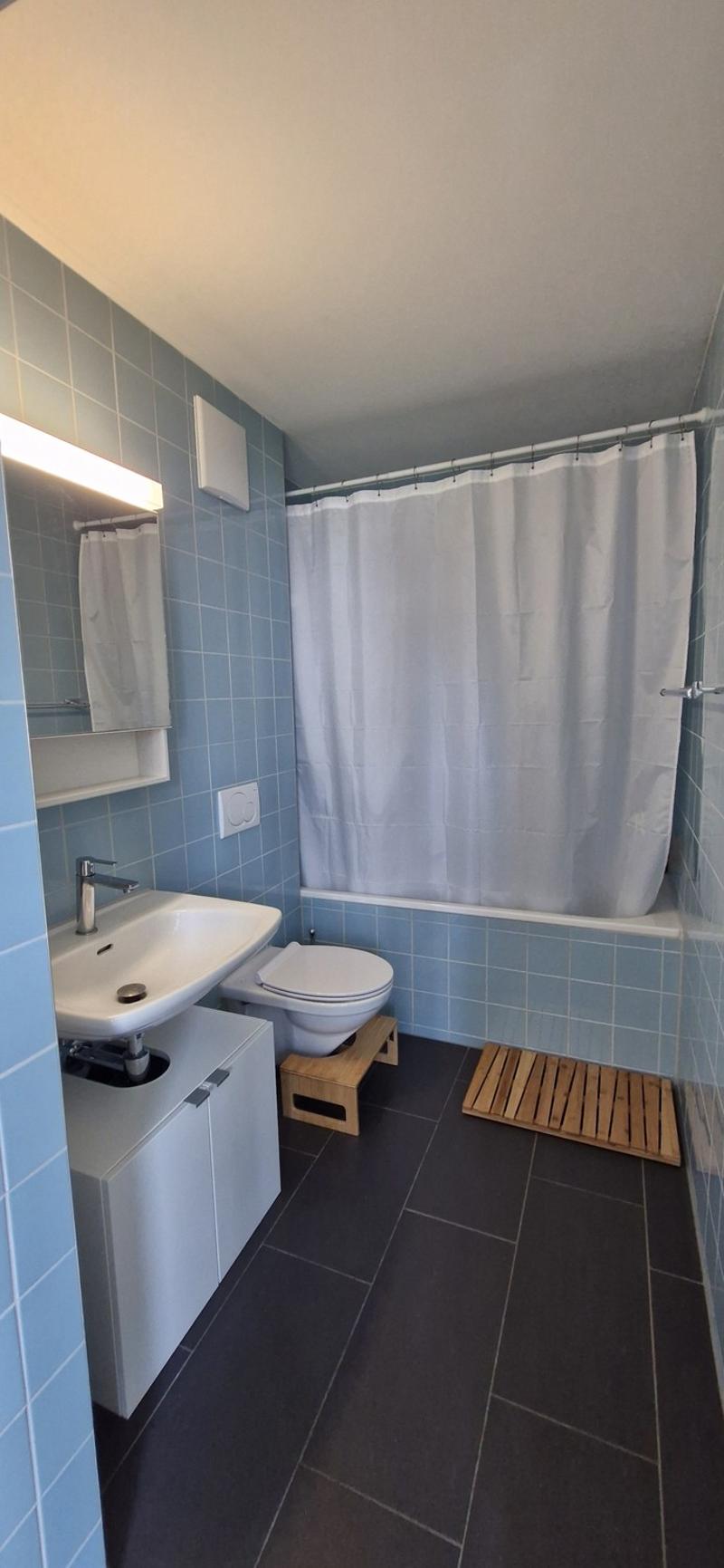 2,5-Zimmer-Wohnung zur Miete, nördlich von Oerlikon (8)