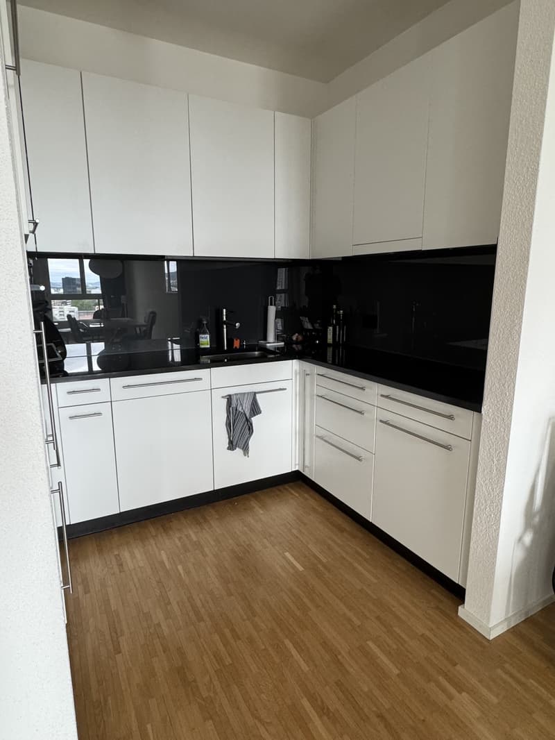 Modern 2.5 room apartment in ZH-Altstetten with great view (3)