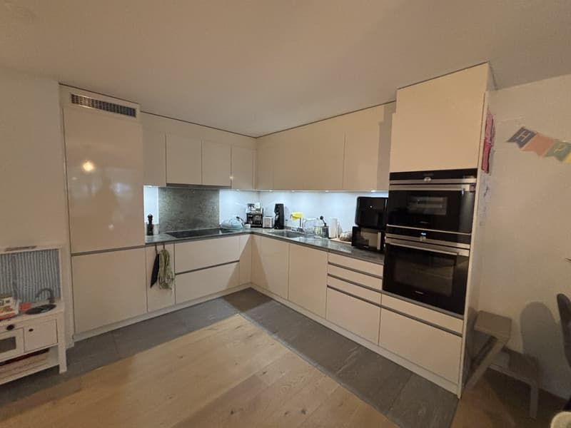 Appartement moderne au rez-de-chaussée (3)