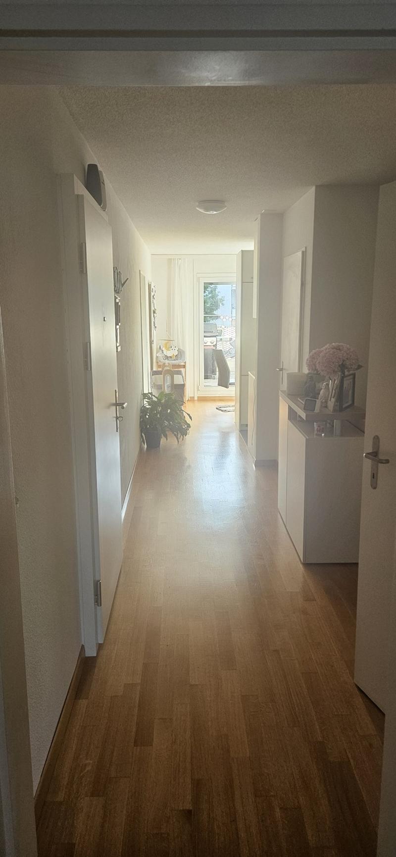 4 ½ rooms apartment, 8604 Volketswil (2)