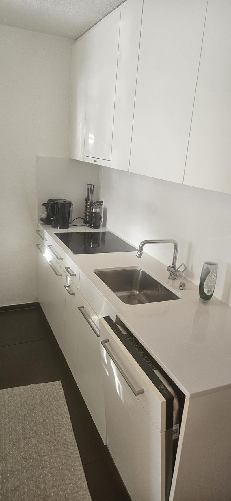 4 ½ rooms apartment, 8604 Volketswil (3)